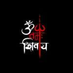 OM Namah Shivaya Printed Gel Car Premium Mirror Hanging (4)